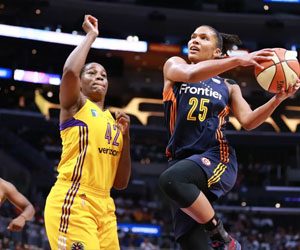 These low-profile sports can be huge moneymakers for Pay-Per-Head bookies